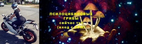 молекула духа Бронницы