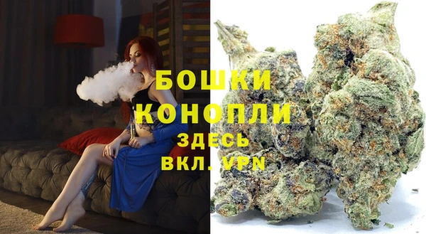 молекула духа Бронницы