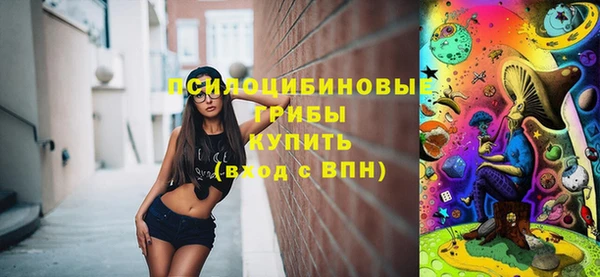 тгк Богородицк