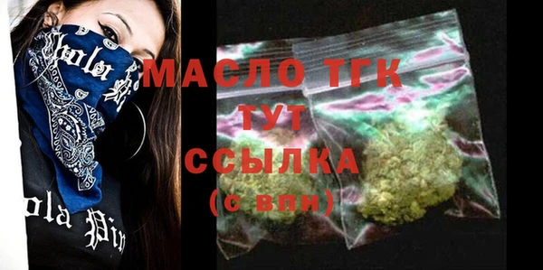 твердый Бородино