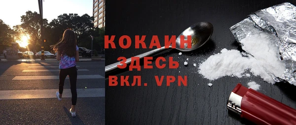 молекула духа Бронницы