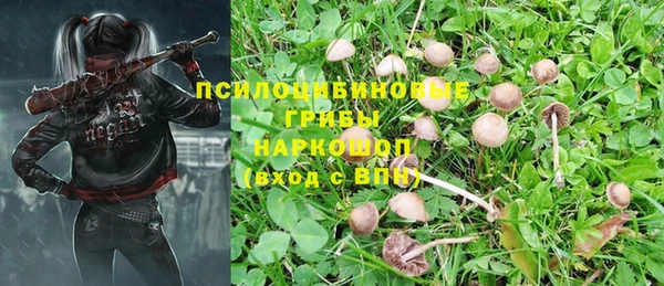 ПСИЛОЦИБИНОВЫЕ ГРИБЫ Богородск